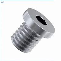 Metric Flat Head Socket Pipe Plugs