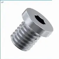 Metric Flat Head Socket Pipe Plugs