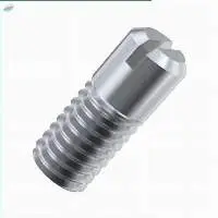 Metric Slotted Head