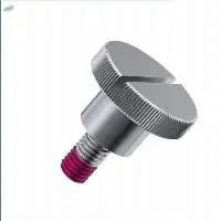 Slotted High Thumb Screws - Din 465