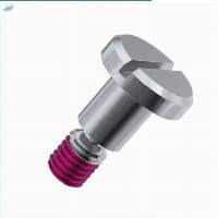 Slotted Pan Head Shoulder Screws