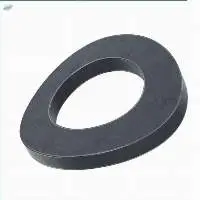 Spring Washer
