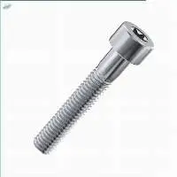 Torx Cap Screws