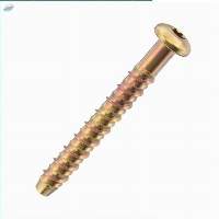 Torx Pan Head Mansory Anchors