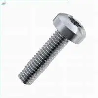 Torx Pan Head Thread Rolling Screws