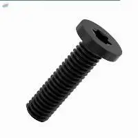 Torx Ultra Low Cap Head Screws