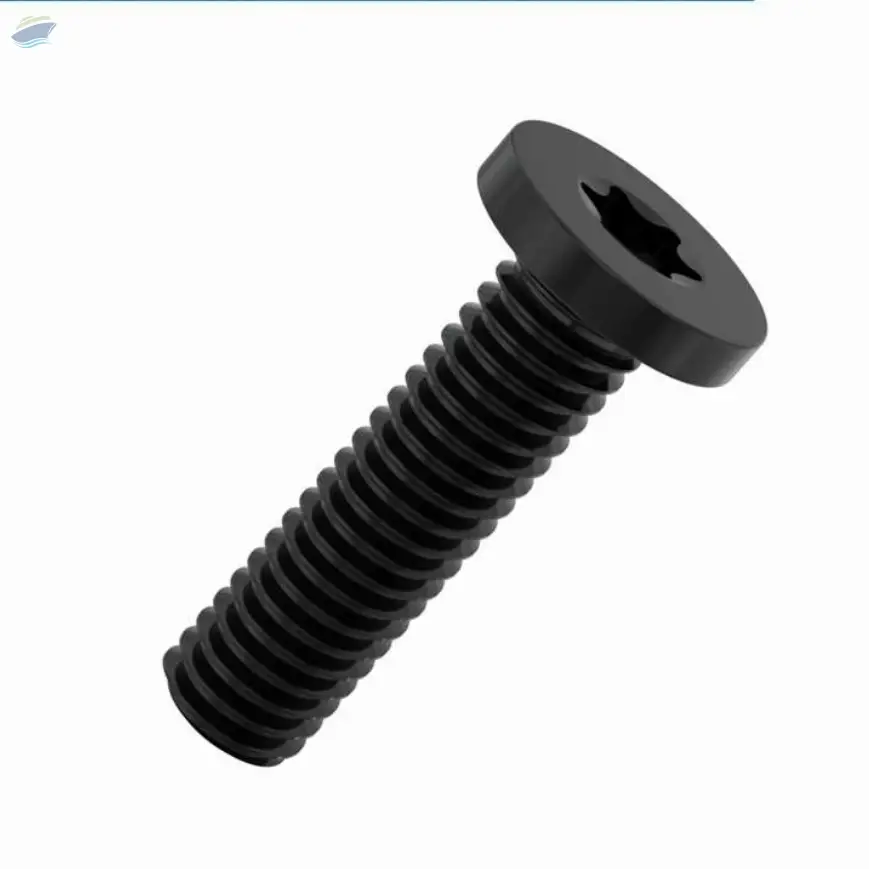 Torx Ultra Low Cap Head Screws