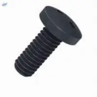 Security 2 Holesnake Eye Pan Head Screws