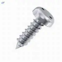 2 Hole Snake Eye Pan Head Screws