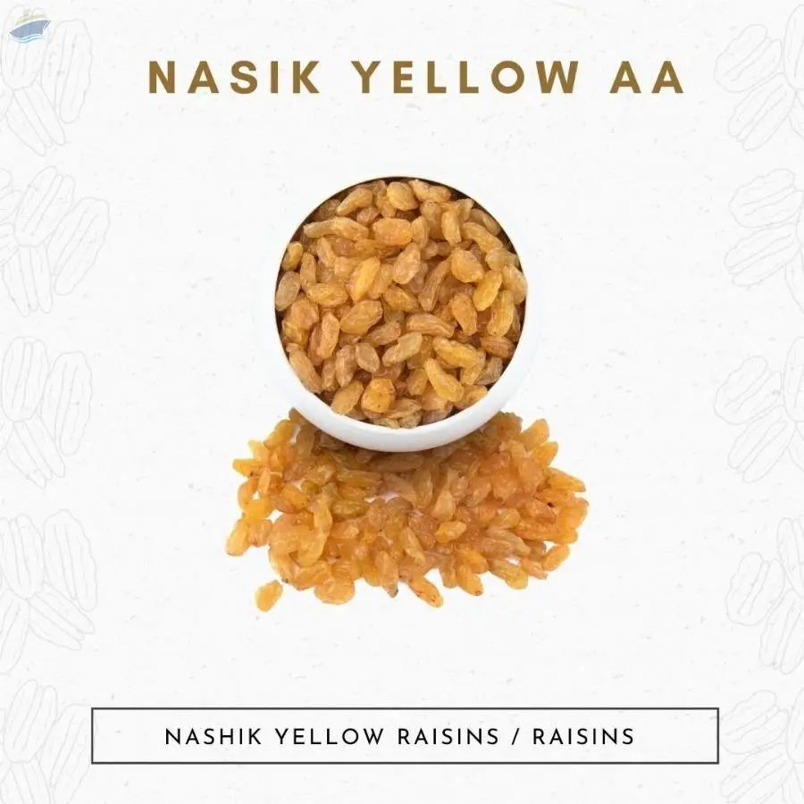 Nashik Yellow AA