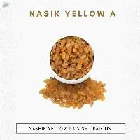 Nashik Yellow A