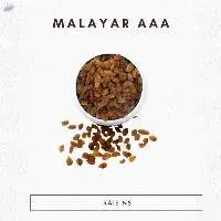 Malayar AAA