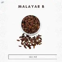 Malayar B