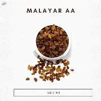 Malayar AA