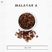 Malayar A Raisins