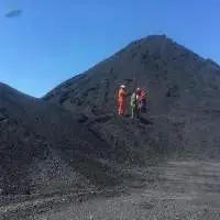 Pet Coke