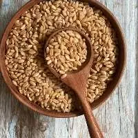 Wheat