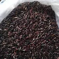 Black Rice (kalabhaat)
