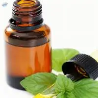 Indian Peppermint Organic Oil