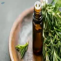 Indian Rosemary Organic Oil