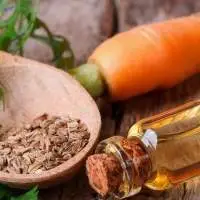 Carrot Seed Organic Oil
