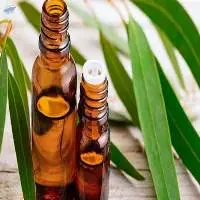 Eucalyptus Globulus 60% Organic Oil
