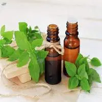 Holy Basil Organic Oil