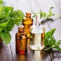 Patchouli Organic Oil