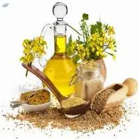 Ajowan Seed Organic Oil