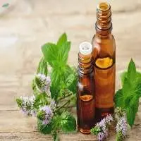 Spearmint Organic Oil
