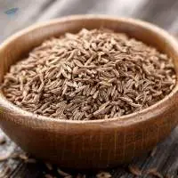 Cumin Seed 10% o/s Oleoresin