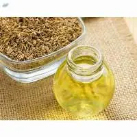 Ajowan Oil