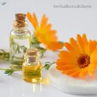 Calendula Oil