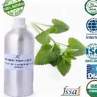 Catnip Oil