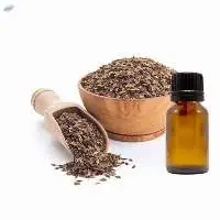 Dill Seed Oil