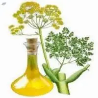 Galbanum -Indian) Oil