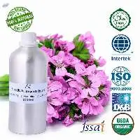 Geranium Oil