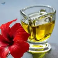 Hibiscus Oil