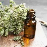 Thyme Oil