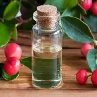 Winter Green Oil