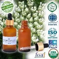 Carrot Seed Oil