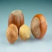 Hazelnut Oil