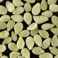 Sesame Oil