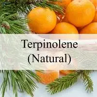 Terpinolene