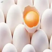 Chicken Eggs