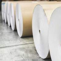 Maplitho Paper