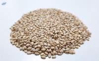 100% Organic Natural White Sesame Seeds