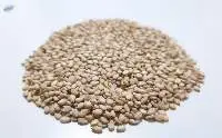 100% Organic Natural White Sesame Seeds
