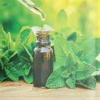 Peppermint Oil