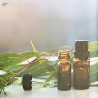 Eucalyptus Oil
